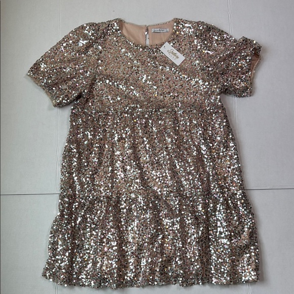 SEE and BE SEEN NWT Women's‎ Pastel Sequin Dress Silver Taupe Puff Sleeve Size L - Picture 1 of 10